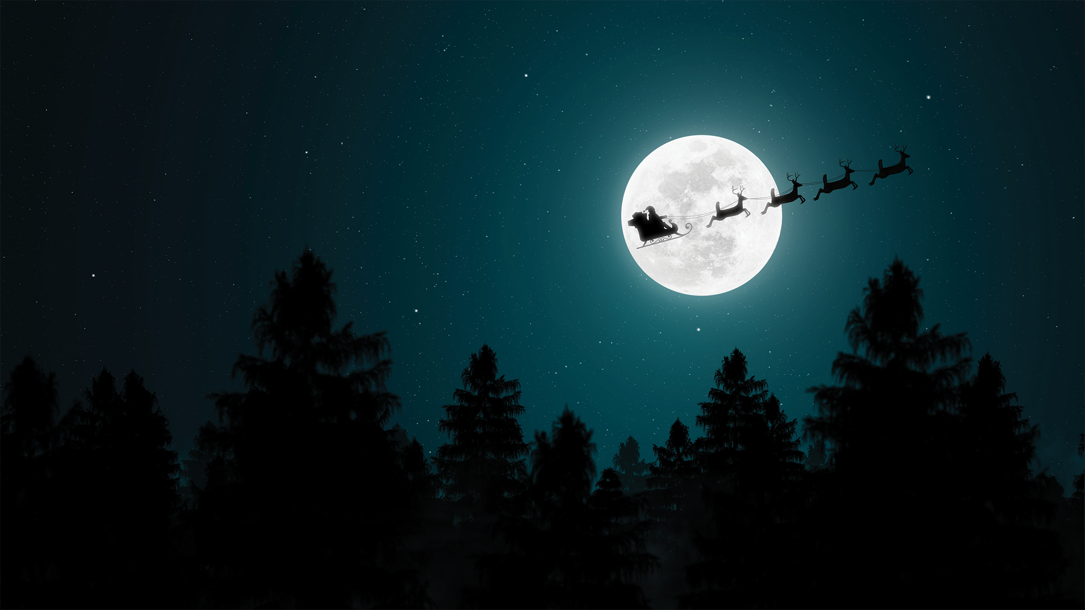 Santa's sleigh flying in the night sky