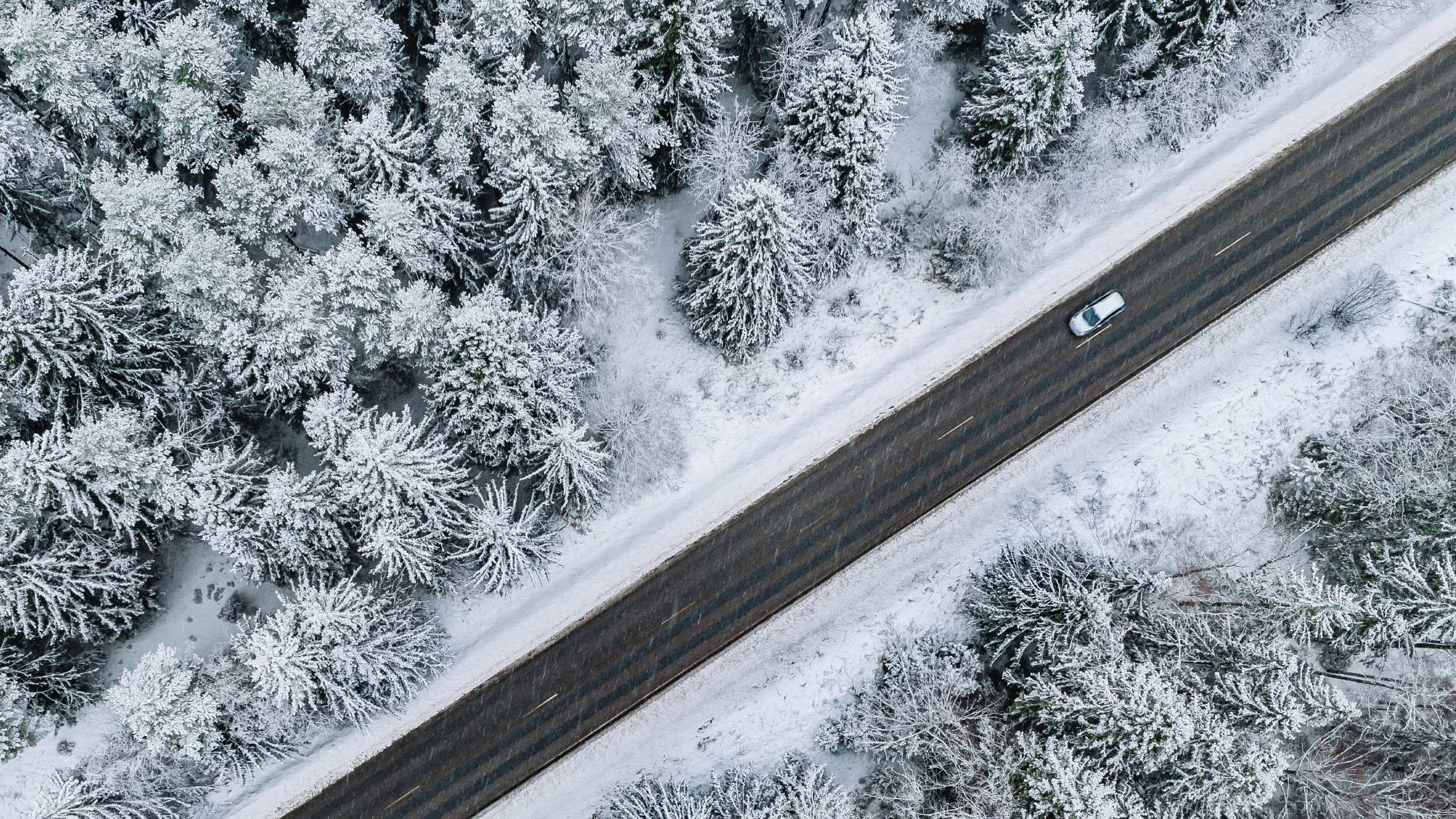 EV driving on winter road with snowy trees