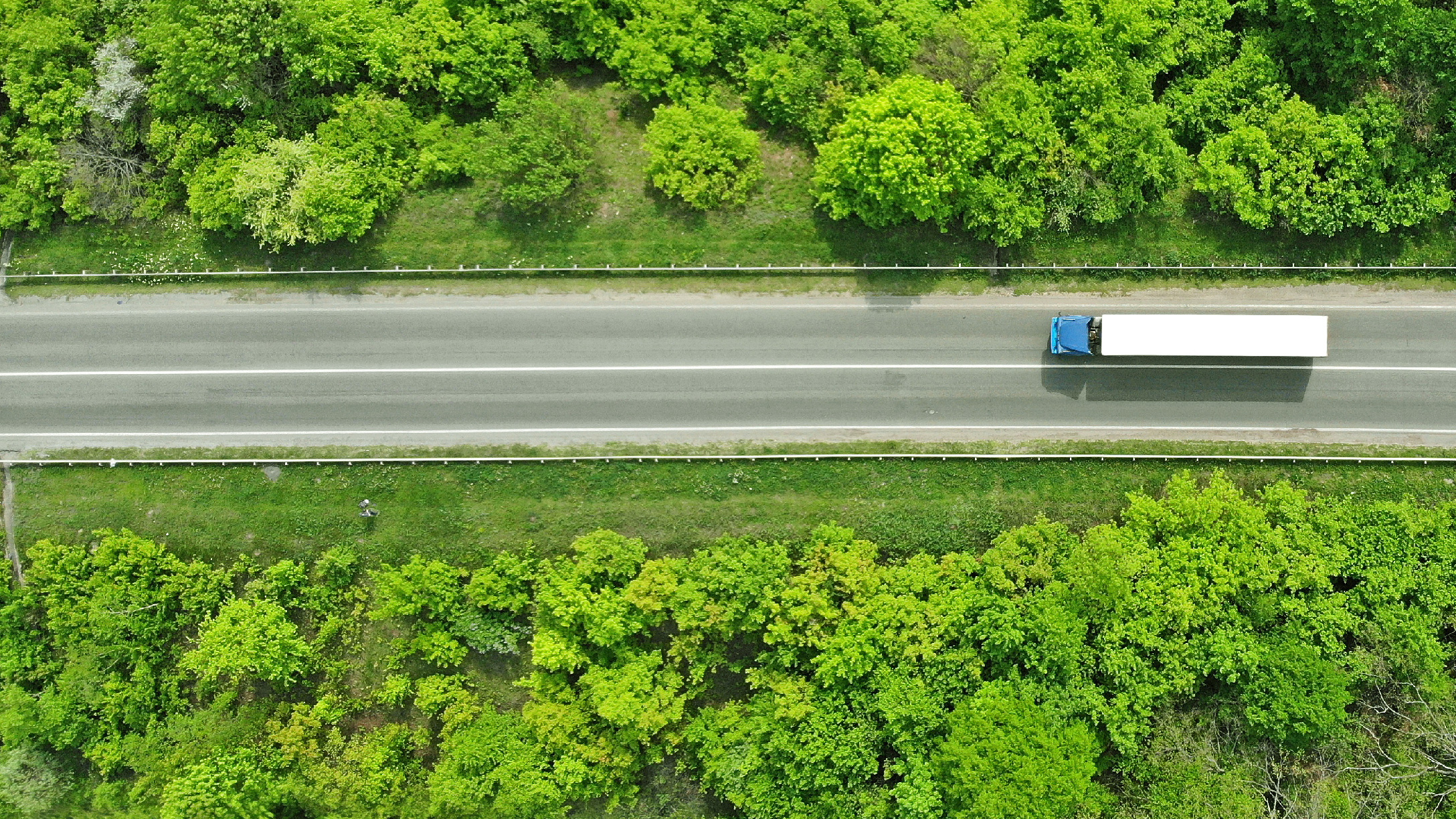 A truck driving through the forrest