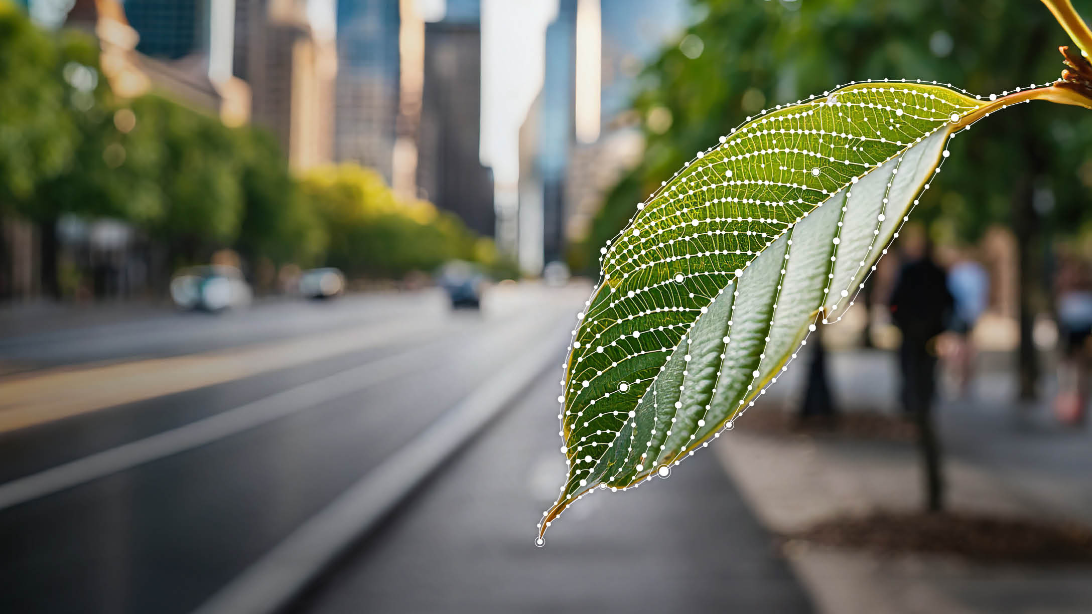 hoja verde con calle de fondo