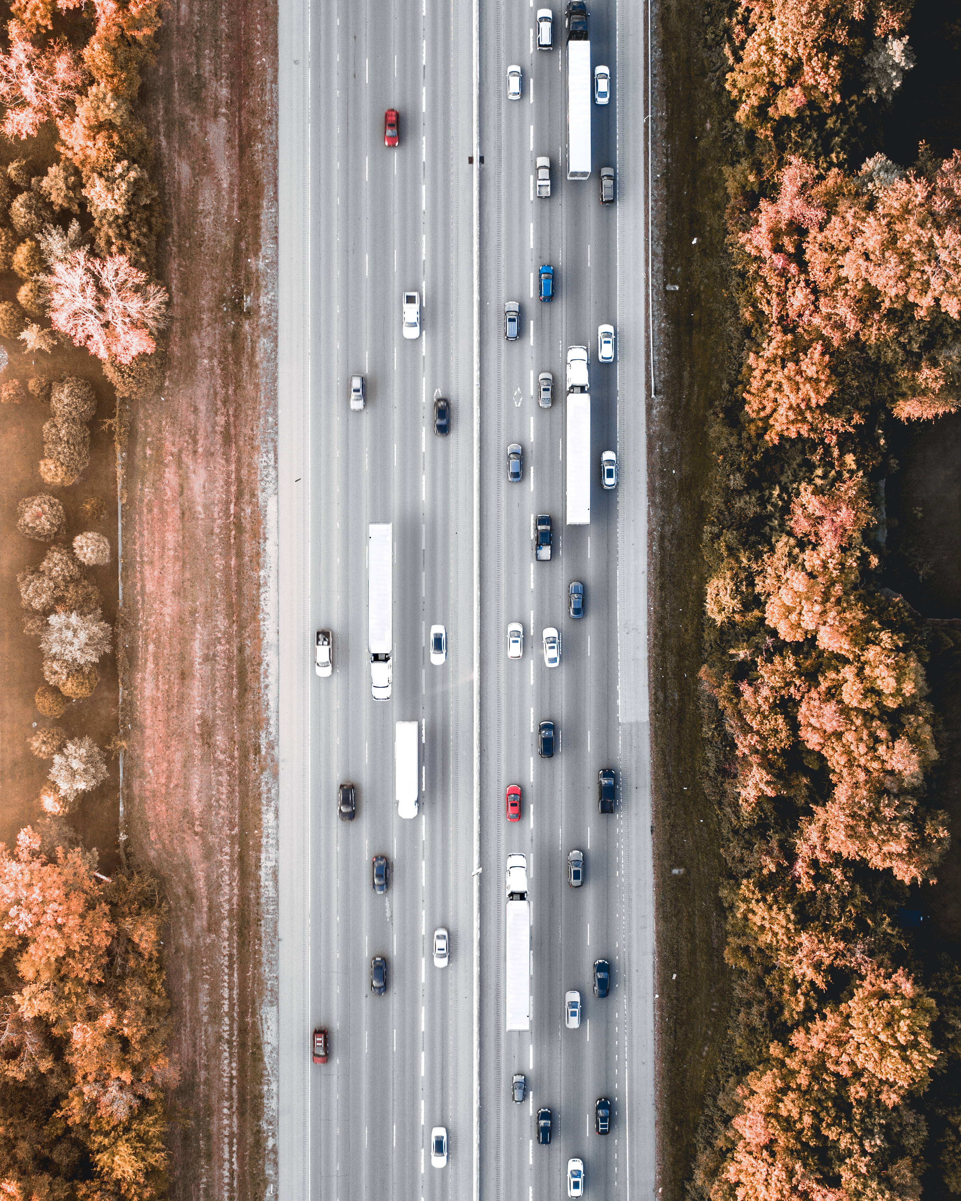 road with vehicles