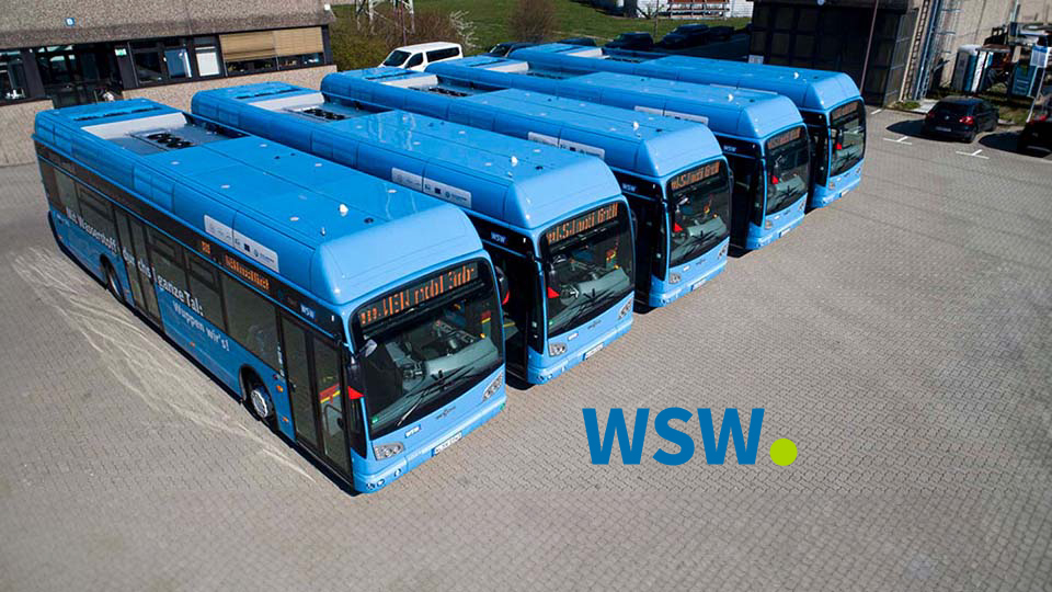 wsw fleet buses