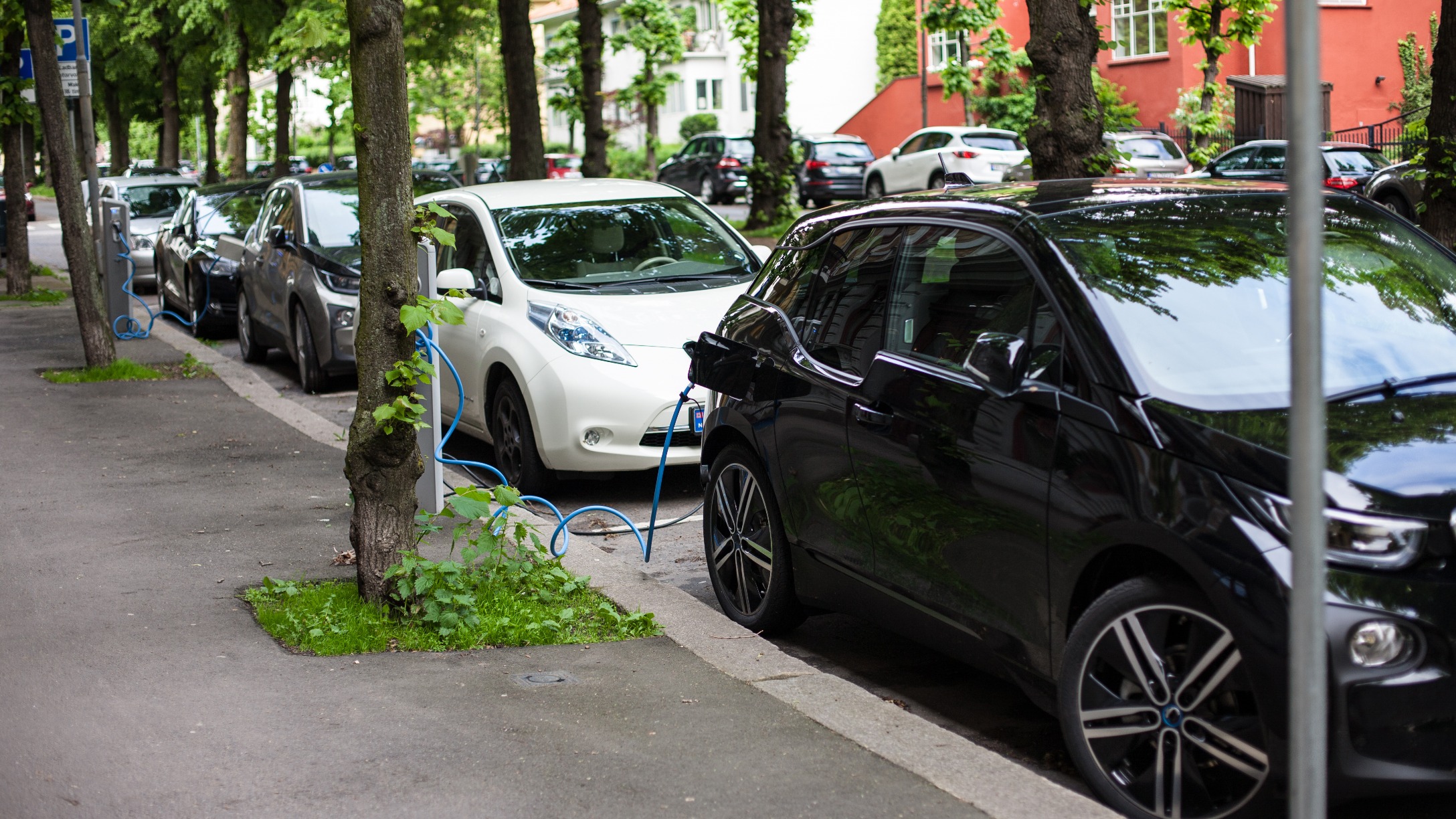 Due veicoli elettrici, uno bianco e uno nero, caricando la batteria parcheggiati in una strada alberata