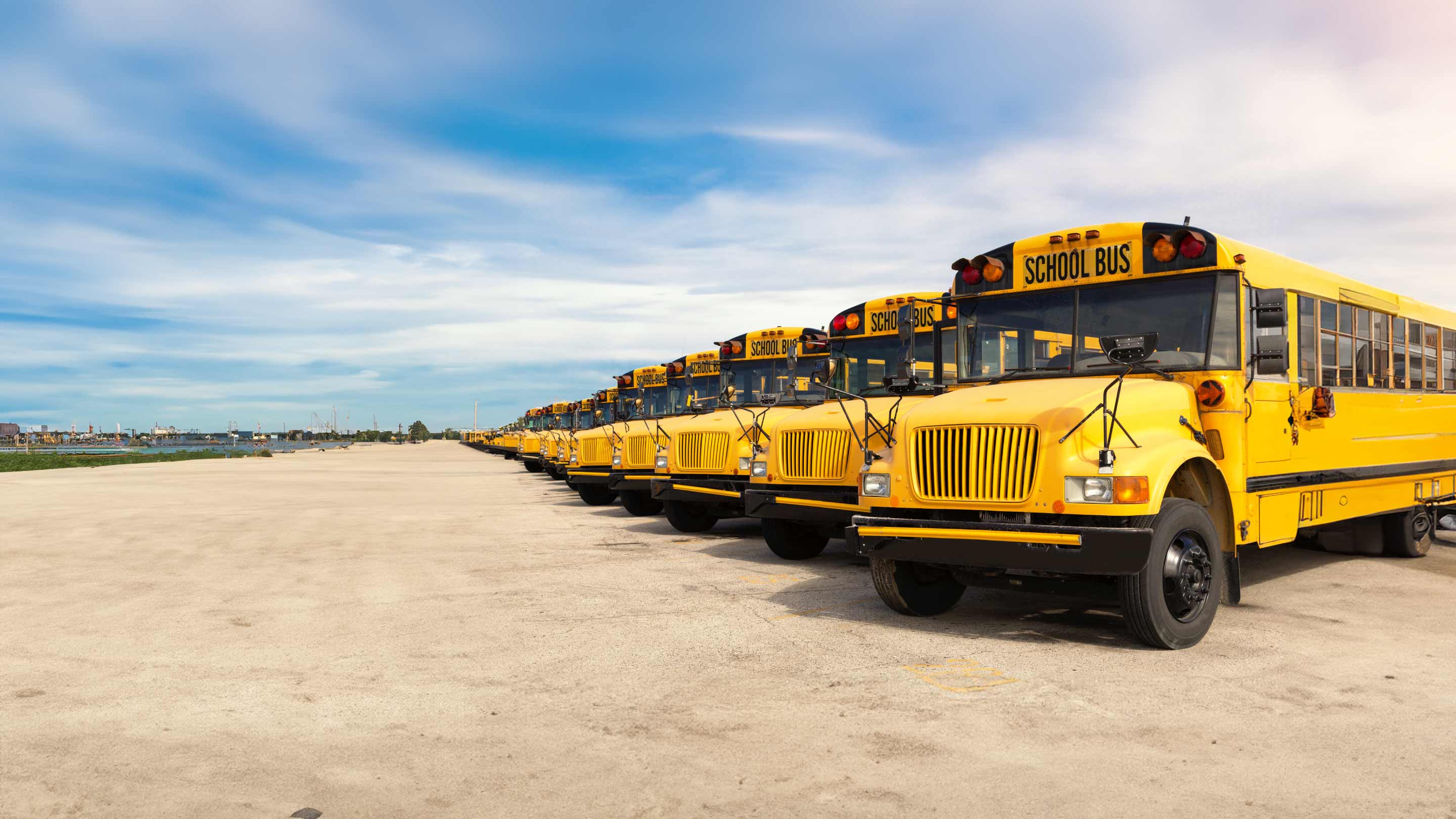 row of school busses parked